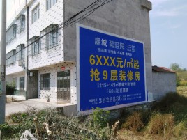 闽清墙体广告质量分析