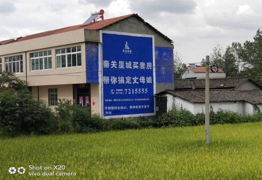 闽清决定墙体广告价格的因素有哪些?