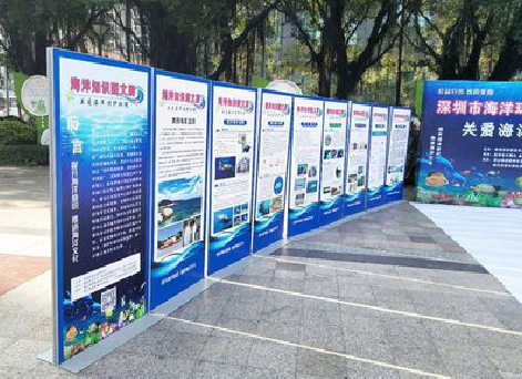 闽清KT板的种类和知识。